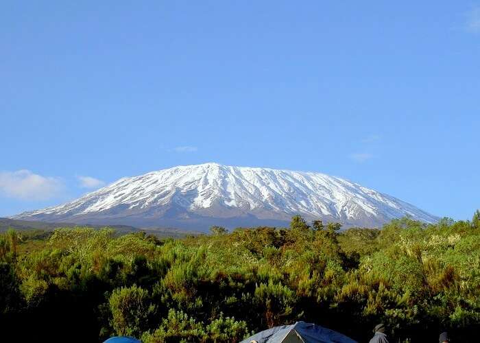 view of mount kilimanjaro