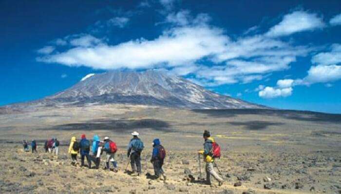 trekkers at marangu route kilimanjaro