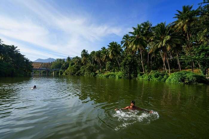 pollachi, among the best tourist places in south india during summer