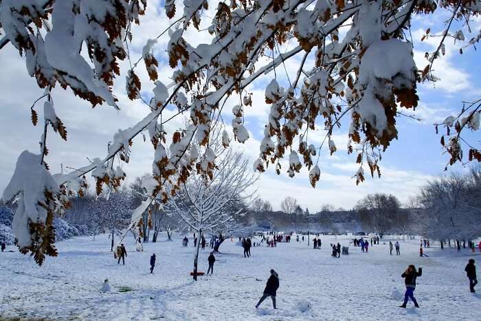 Snowfall in Rome