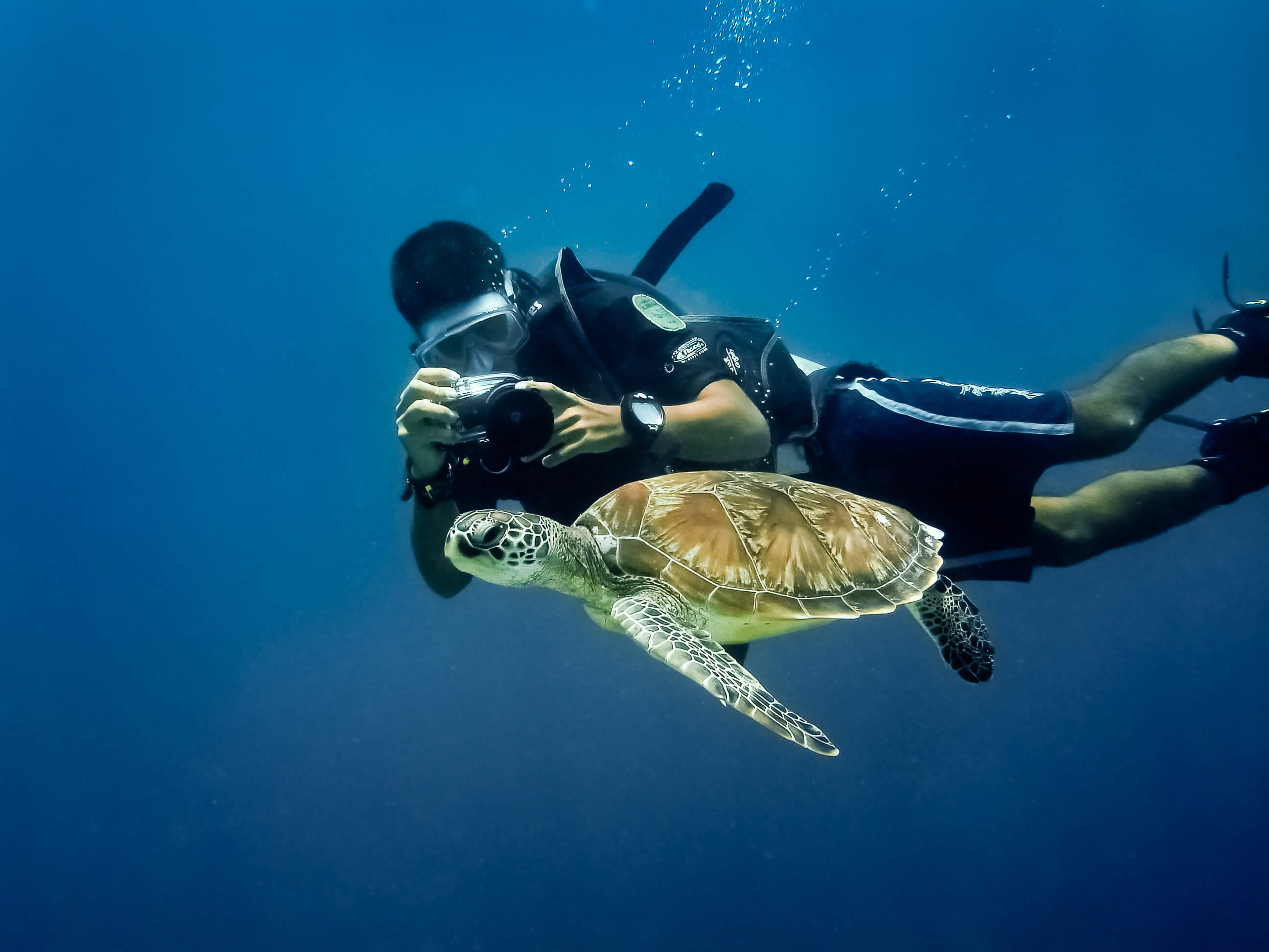 a man clicking a turtle picture under water 