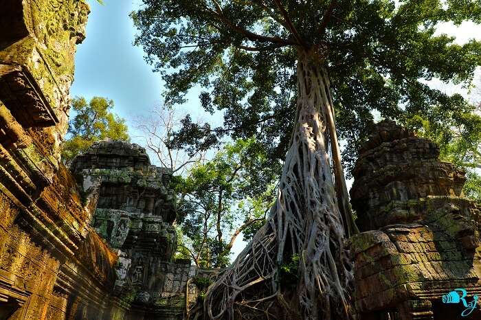 ruins of angkor wat