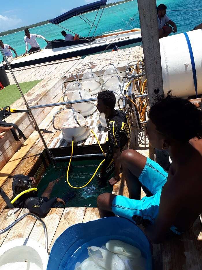 Himanshu honeymoon trip to Mauritius: speedboat jetty