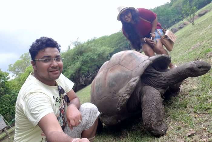 Himanshu honeymoon trip to Mauritius: interacting with tortoises