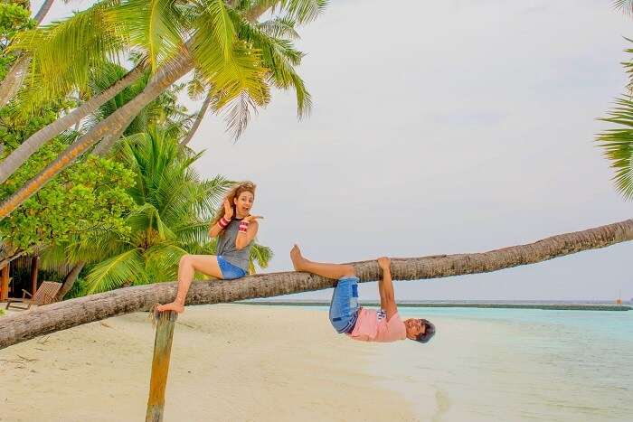 ankit wadhwa maldives honeymoon: photoshoot island tree