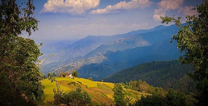 views from binsar, almora