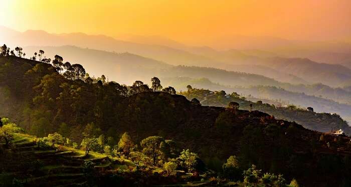 Binsar Wildlife Sanctuary at dusk