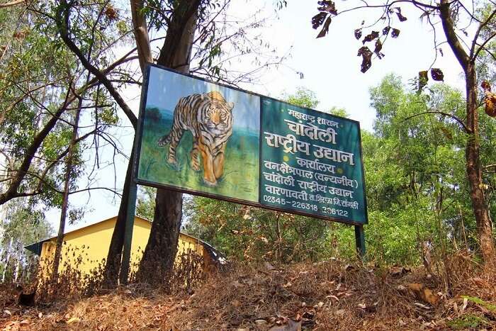 Chandoli National Park Basic Information