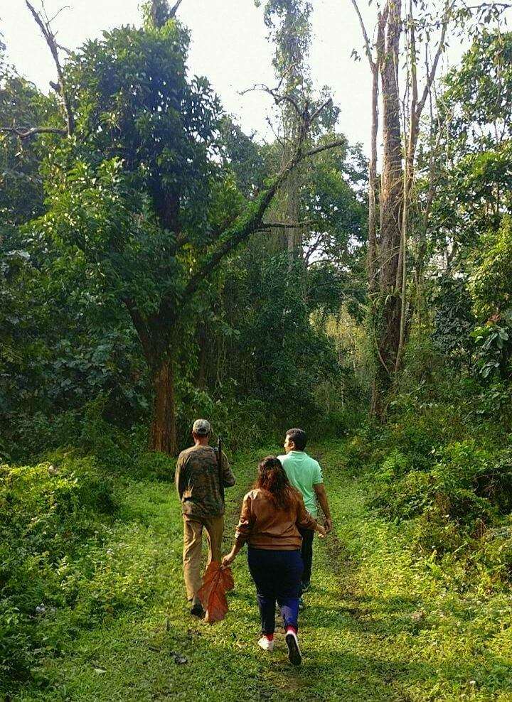 Early morning Trek into a dense forest crossing a river in search of animals birds