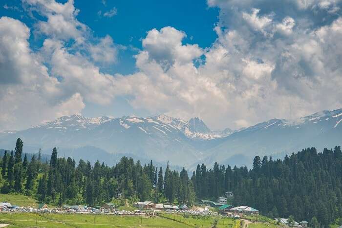 View Of Gulmarg