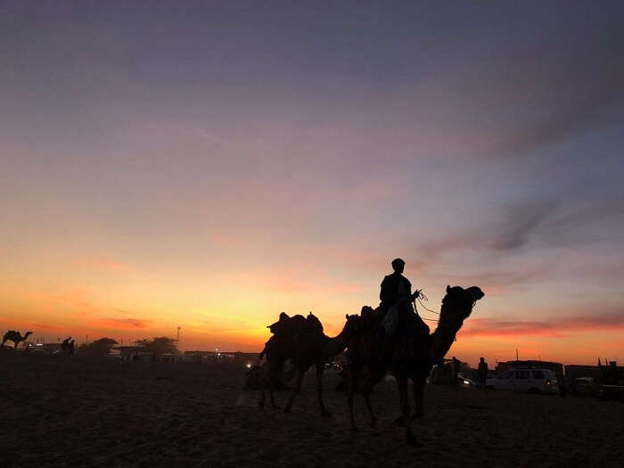 camel ride in jaisalmer