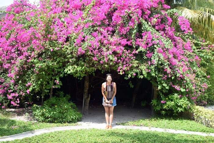 sushmita maldives honeymoon: day 2 flowers