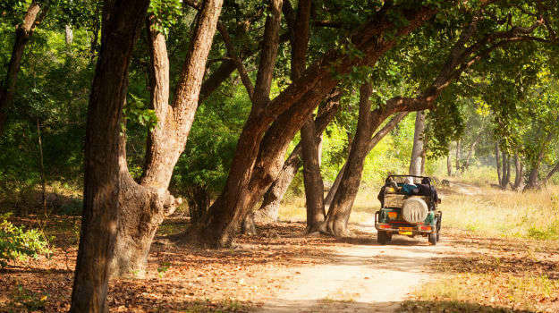 Venture out on a jeep safari in binsar wildlife sanctuary-001