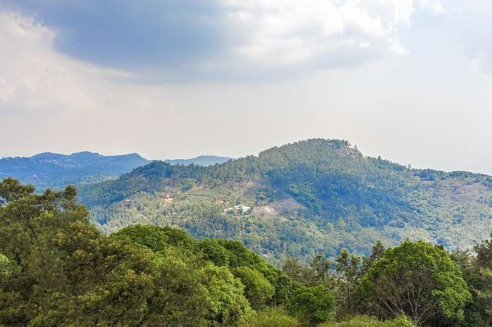 Yercaud, among the places to visit near Bangalore in summer.