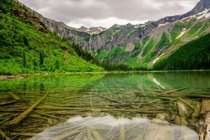 avalanche lake Ooty