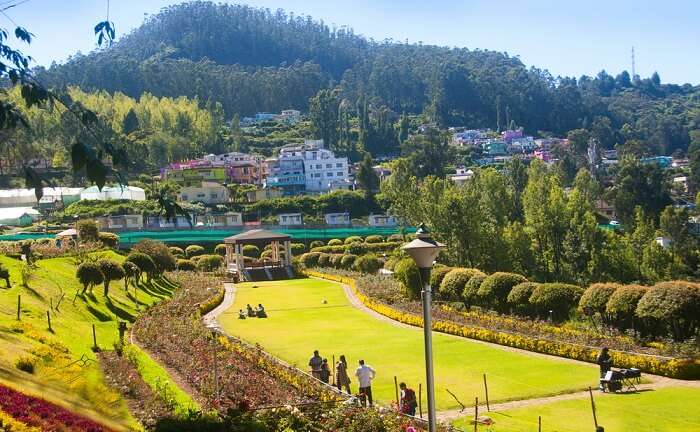 best time for ooty honeymoon