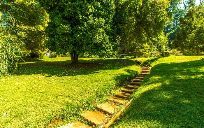 ooty botanical garden