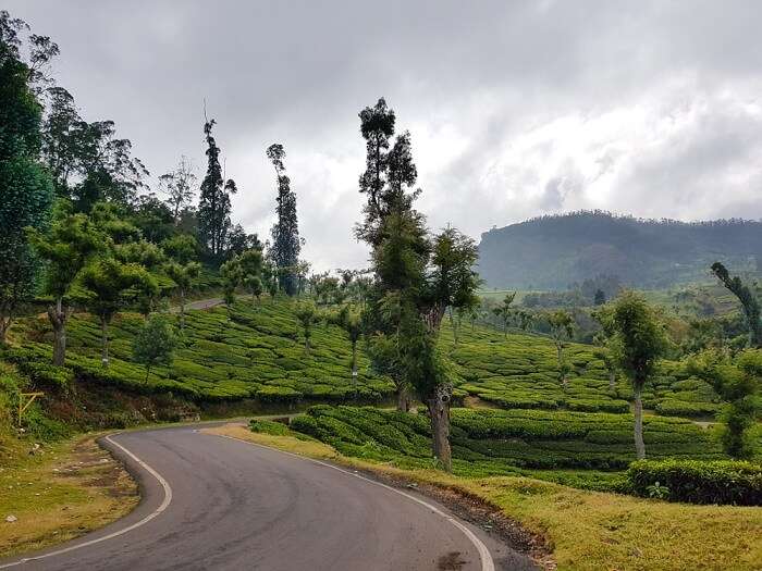 how to reach ooty hill station