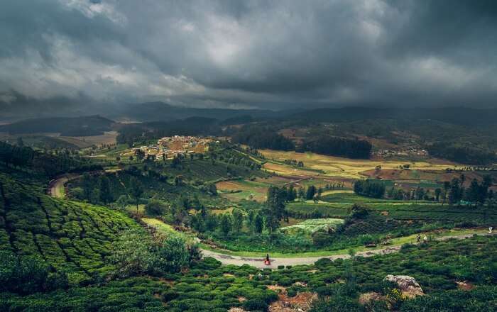 ooty weather