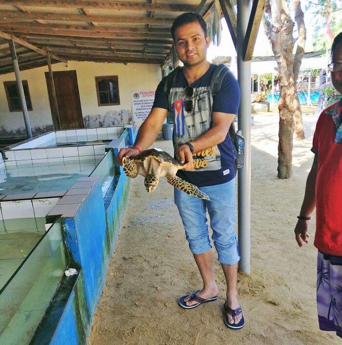 Traveler at Turtle Island