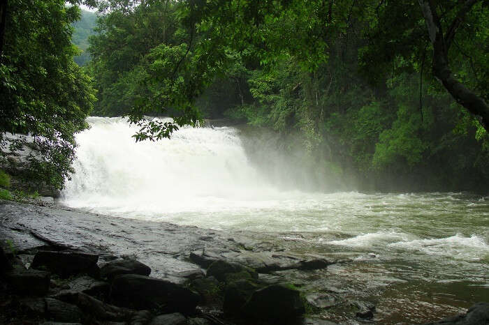 Thommankuthu Waterfalls