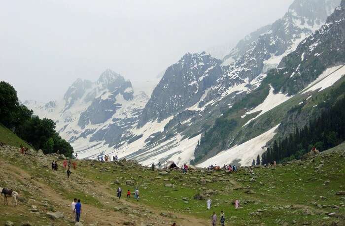 Thajiwas Glacier Sonmarg