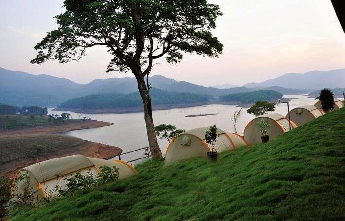 Enjoy Camping In Wayanad