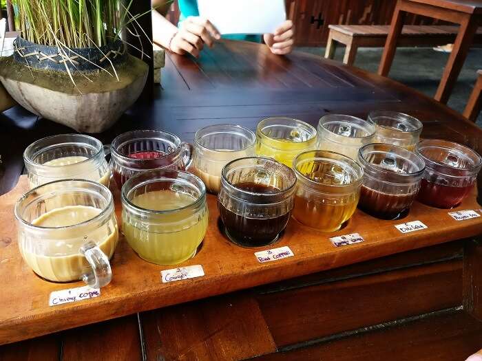 Tea tasting tour in Bali