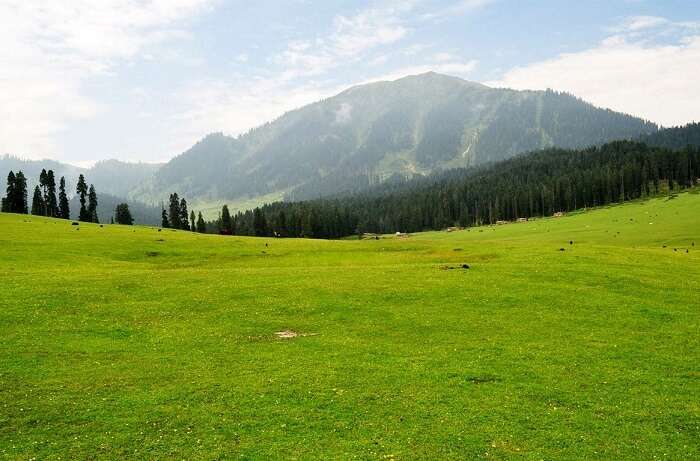 Yusmarg, Kashmir