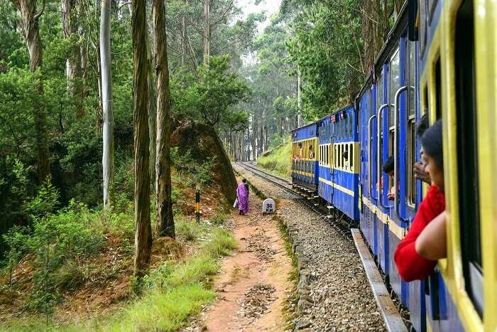 A joyride aboard the Nilgiri Mountain Railways