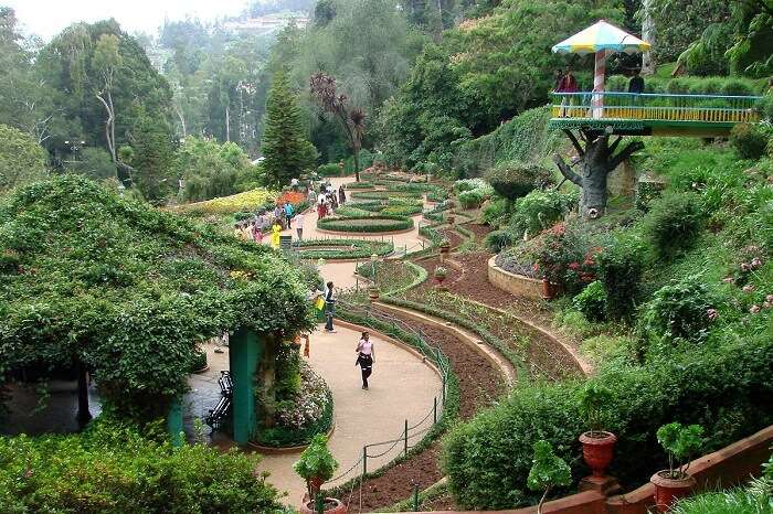 Behold the stunning colours of the Botanical Gardens