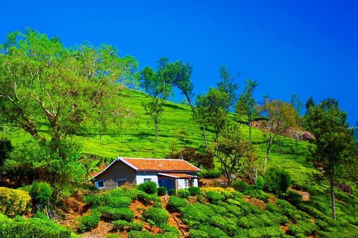 things to do in Coonoor