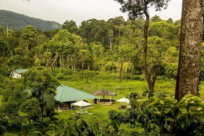 Enjoy camping under the stars coorg