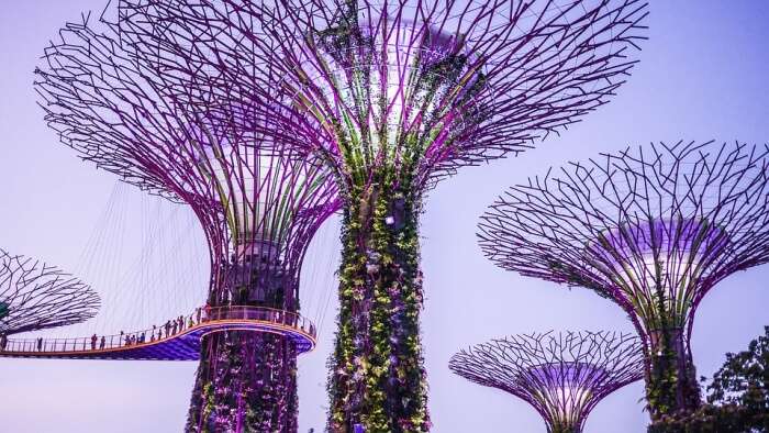 Gardens by the Bay