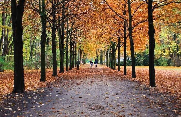 Go for a picnic at the Tiergarten park Berlin