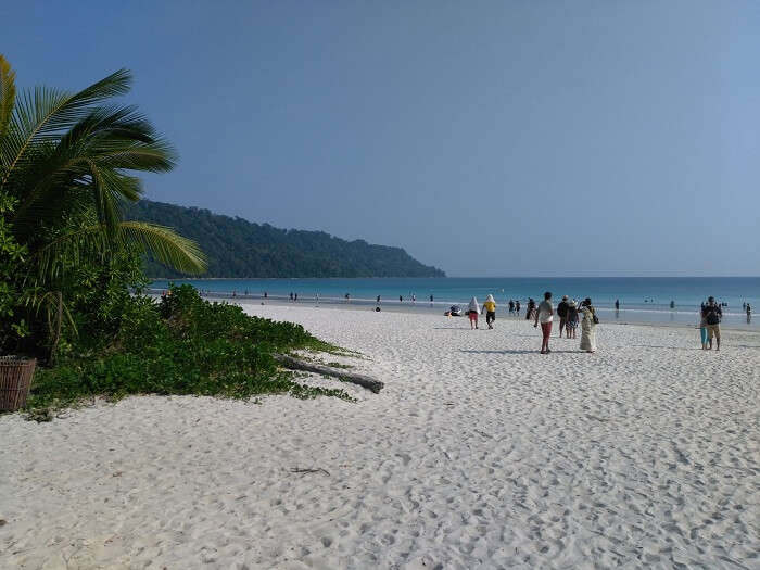 beauty of radhanagar beach in andaman