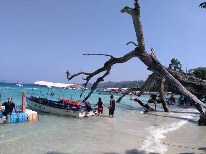 elephanta beach in andaman