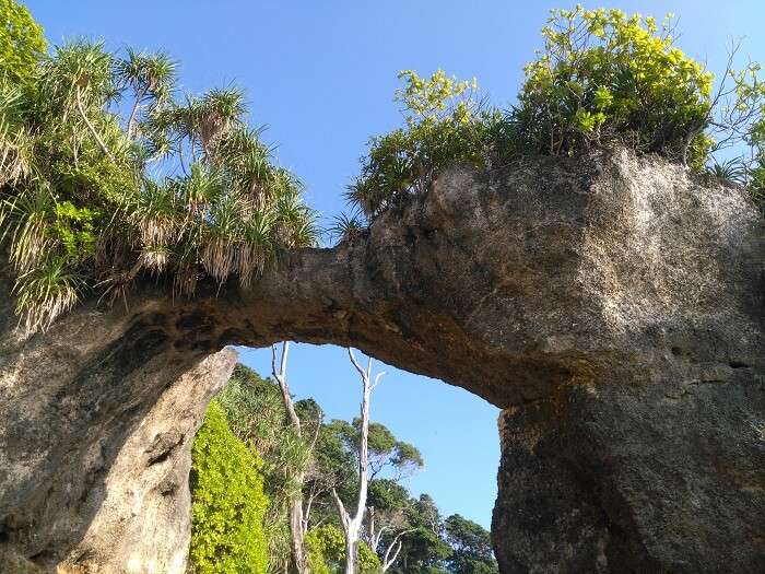 natural bridge in andaman