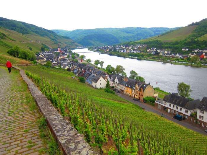 Mosel Valley