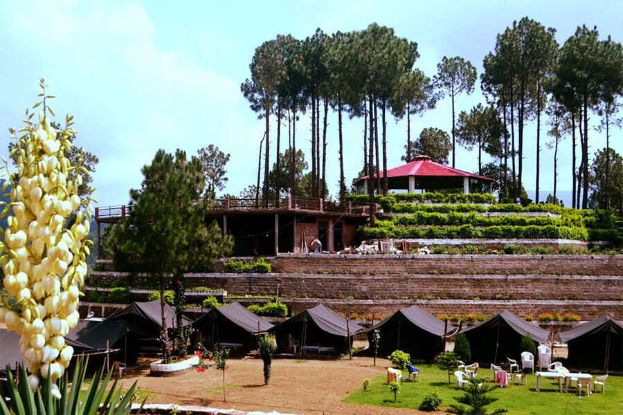 a resort amid trees