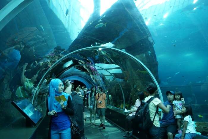 SEA Aquarium in Singapore