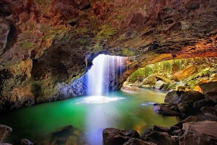 Springbrook National Park gold coast