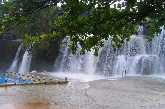 Thirparappu Waterfalls kanyakumari