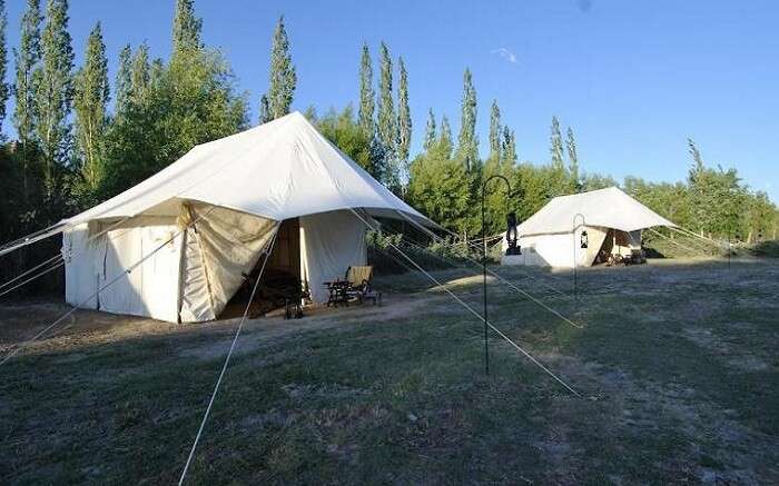 acj-2404-camping-in-leh (1)