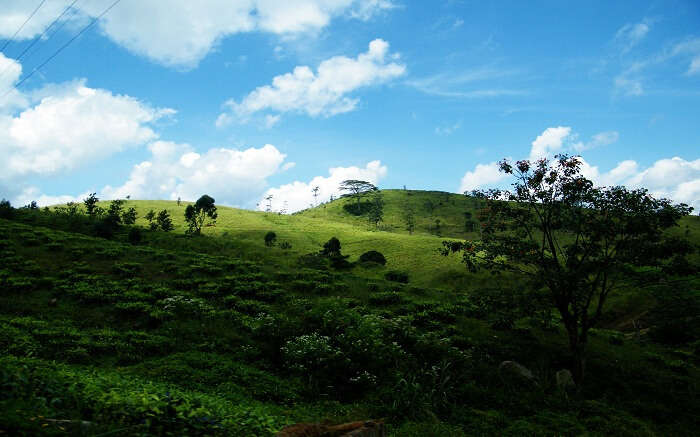 Trekking In Kandy Is An Ultimate Date With Untouched Nature Of Sri Lanka