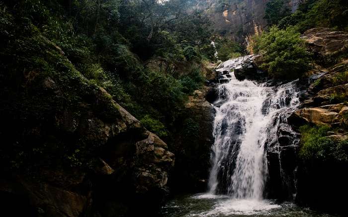 Trekking In Kandy Is An Ultimate Date With Untouched Nature Of Sri Lanka