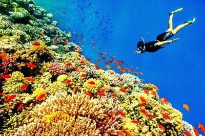 Snorkeling in Maldives Nature Park