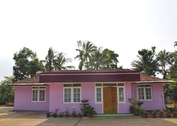 traditional and lovely homestay