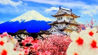 Spring Flower Cruise In Japan