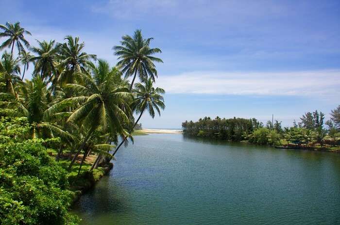 kappil lake in varkala